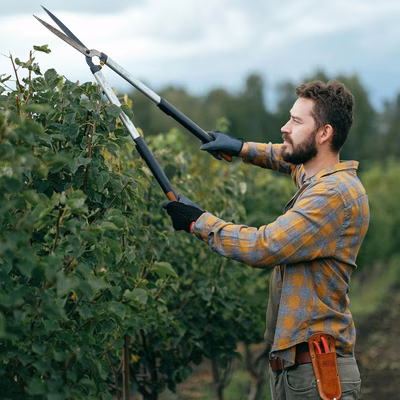 Schoonmaak & facility management